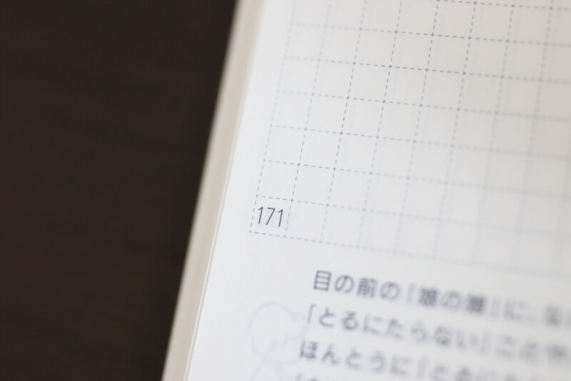 フリーページが171ページ